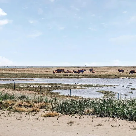 Сasa de vacaciones Gorgeous In With Kitchen *